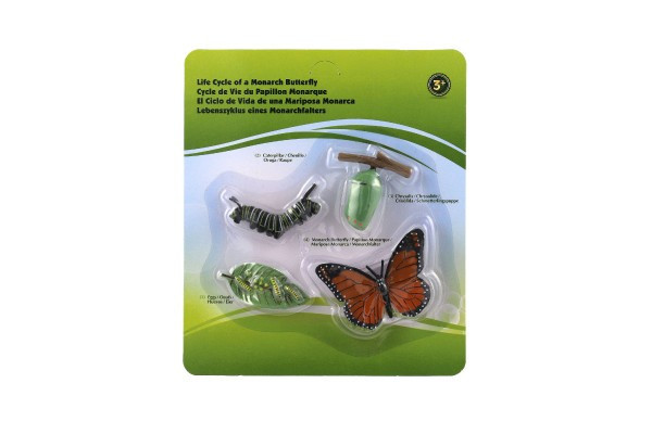 Opracowanie motyla-motylka plastikowego o wymiarach 19,5x22,5x2,5cm