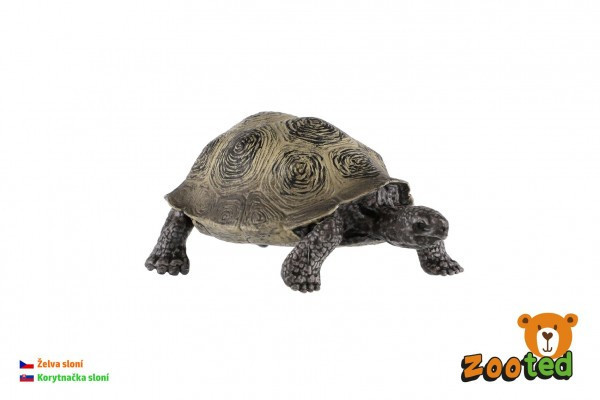 Żółw słoniowy zooted plastik 8cm