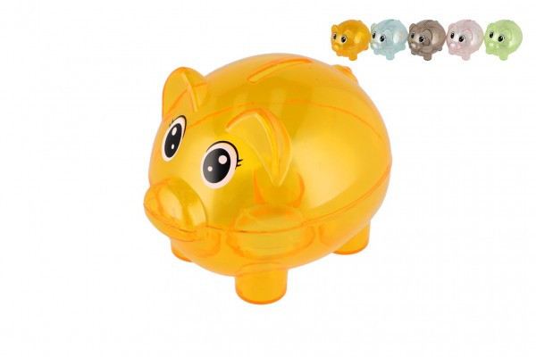 Skarbonka przeźroczysta plastikowa 10cm mieszanka gatunków w pudełku 11x9cm