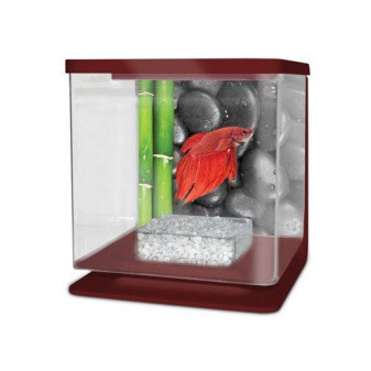 CATGATO Betarium Betta kit stones 2l