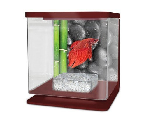CATGATO Betarium Betta zestaw kamieni 2l
