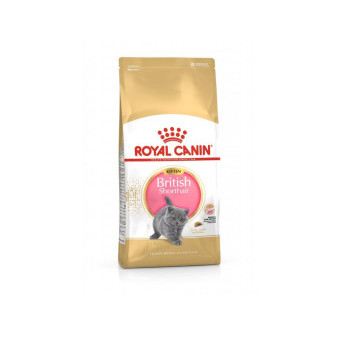 Royal Canin Kot brytyjski krótkowłosy 10 kg