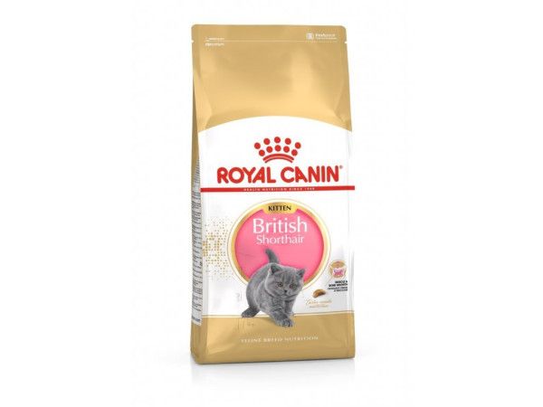 Royal Canin Kot brytyjski krótkowłosy 10 kg