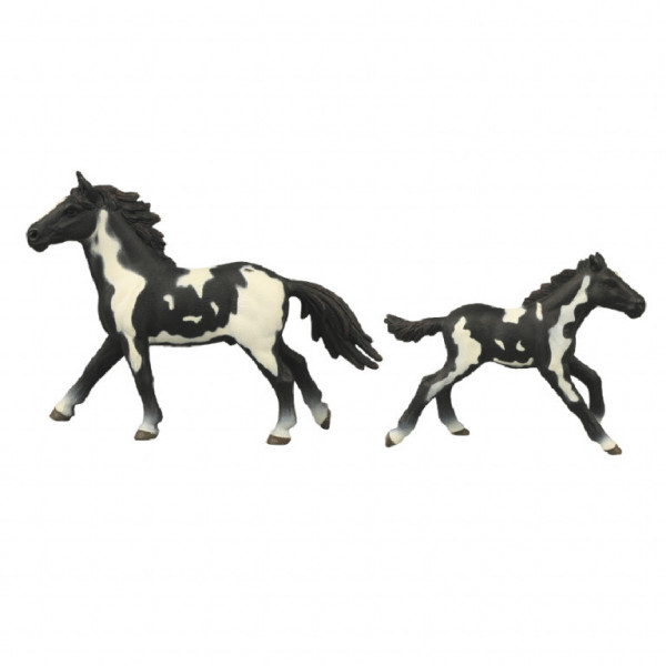 Zestaw 2 koni z wybiegiem czarno-białym
