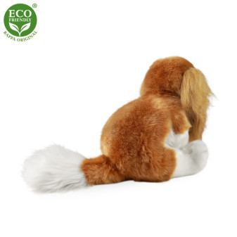 Pluszowy pies Cavalier King Charles Spaniel 28 cm EKOLOGICZNY