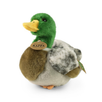 Pluszowa kaczka krzyżówka 20 cm EKOLOGICZNA