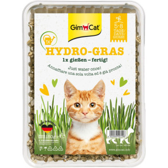 Gimpet Hy-Gras trawa dla kotów 150g