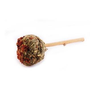 HamStake lollipop szałwia, hibiskus i topinambur