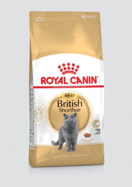 Royal Canin Brytyjski krótkowłosy 10 kg