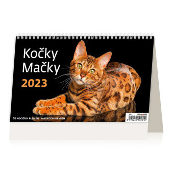 Kalendarz na biurko dla kotów