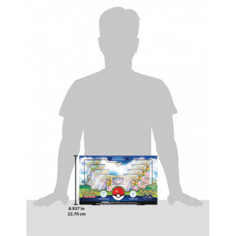 Pokemon TCG Kolekcja Pokemon GO Radiant Eevee Premium
