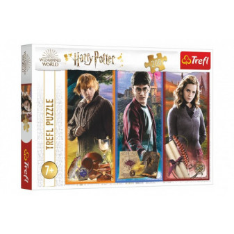 Puzzle W świecie magii i czarów/Harry Potter 200 elementów 48x34cm w pudełku 33x23x4cm