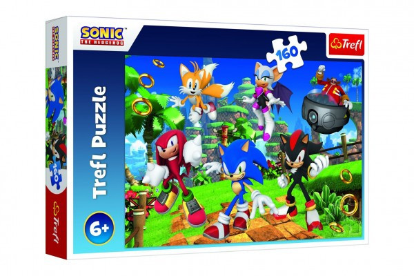 Puzzle Sonic and Friends/Sonic The Hedgehog 41x27,5cm 160 sztuk w pudełku 29x19x4cm