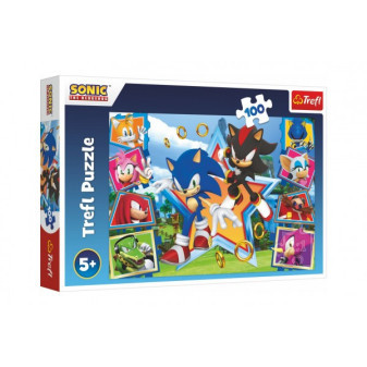 Puzzle Meet Sonic/Sonic the Hedgehog 100 sztuk 41x27,5cm w pudełku 29x19x4cm