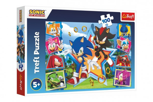 Puzzle Meet Sonic/Sonic the Hedgehog 100 sztuk 41x27,5cm w pudełku 29x19x4cm