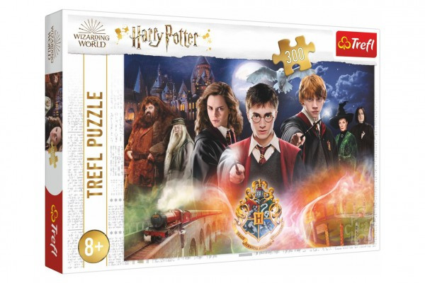 Puzzle The Secret of Harry Potter 300 elementów 60x40cm w pudełku 40x27x4cm