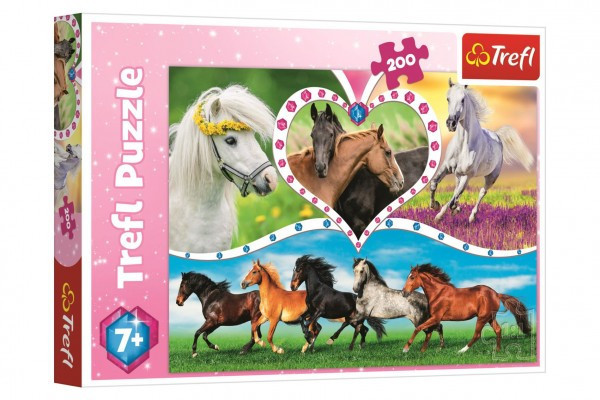 Puzzle Konie 200 sztuk 48x34cm w pudełku 33x23x4cm