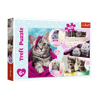 Puzzle Śliczne kotki 41x27,5cm 160 sztuk w pudełku 29x19x4cm
