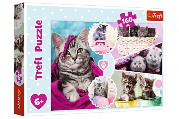 Puzzle Śliczne kotki 41x27,5cm 160 sztuk w pudełku 29x19x4cm