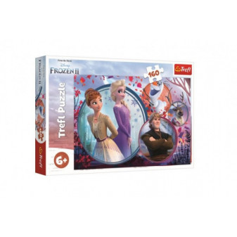 Puzzle Królestwo Lodu II/Frozen II 160 sztuk 41x27,5cm w pudełku 29x19x4cm