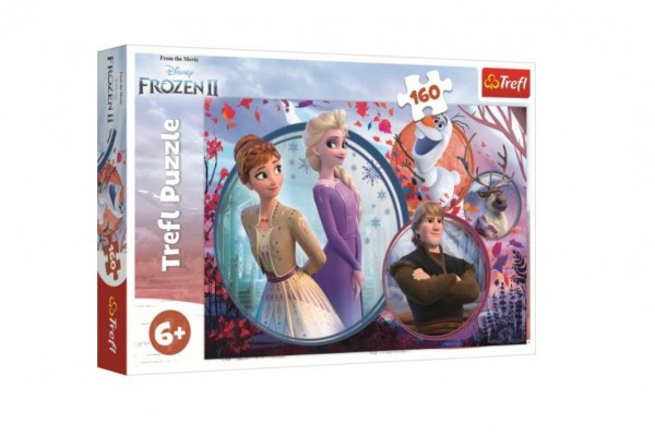 Puzzle Królestwo Lodu II/Frozen II 160 sztuk 41x27,5cm w pudełku 29x19x4cm