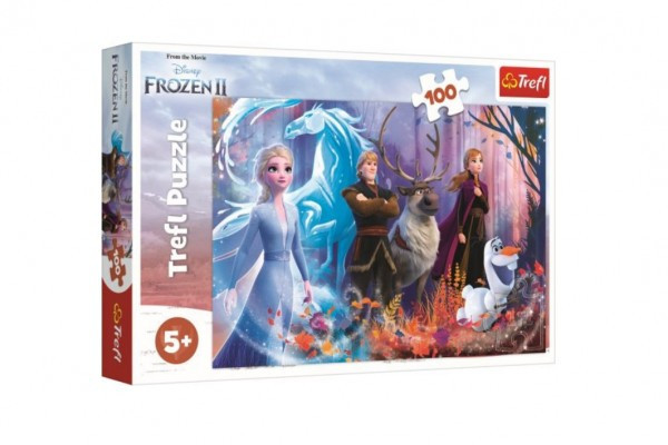 Puzzle Królestwo Lodu II/Frozen II 100 sztuk 41x27,5cm w pudełku 29x19x4cm