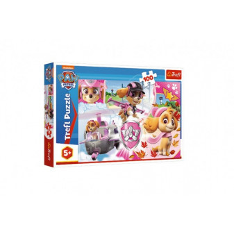 Puzzle Psi Patrol/Skye w akcji 41x27,5cm 100 sztuk w pudełku 29x19x4cm