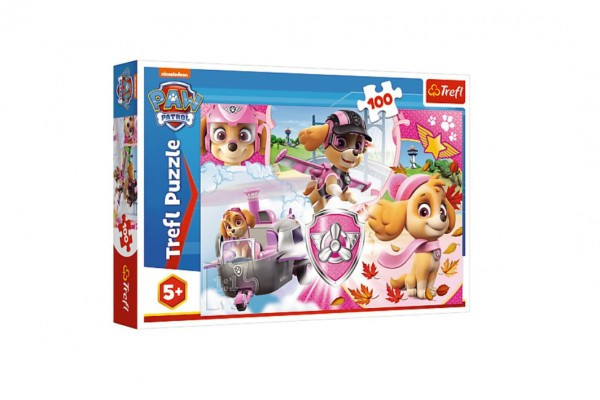 Puzzle Psi Patrol/Skye w akcji 41x27,5cm 100 sztuk w pudełku 29x19x4cm