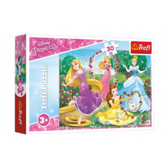 Disney Princess Puzzle 27x20cm 30 sztuk w pudełku 21x14x4cm