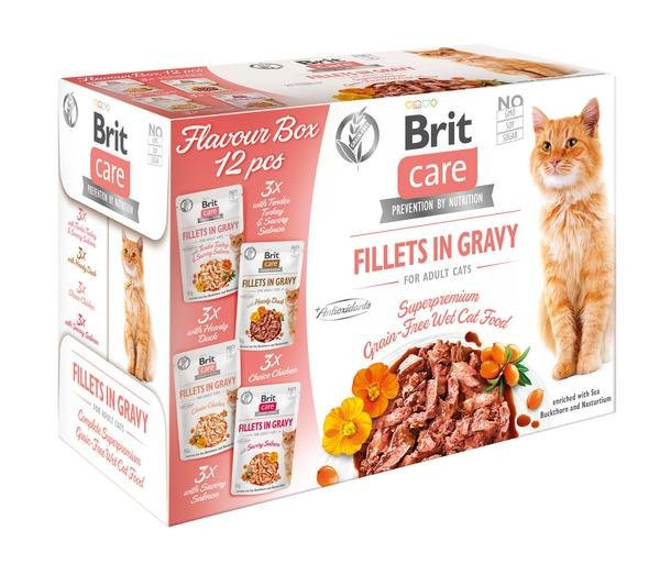 Brit Care Cat Flavour Box Filet w Sosie 12 x 85g