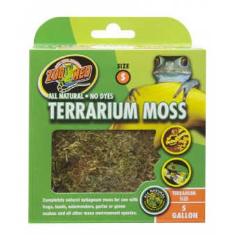 Mech terrarium S