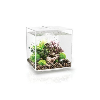 Akwarium BIORB CUBE MCR żółć 30l