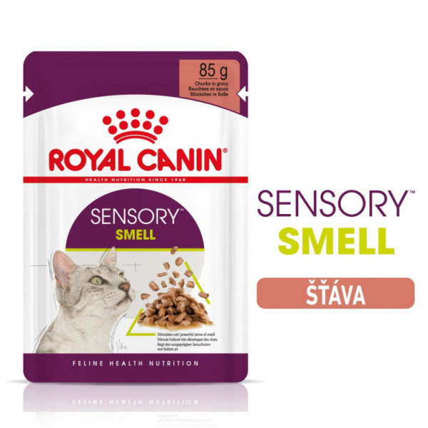 Woreczek Royal Canin FHN Sensory Smell w stanie 12 x 85g