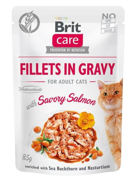 Brit Care Filety z Łososia w Sosie Pikantnym 85g