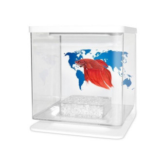 CATGATO Betarium Betta kit world map 2l