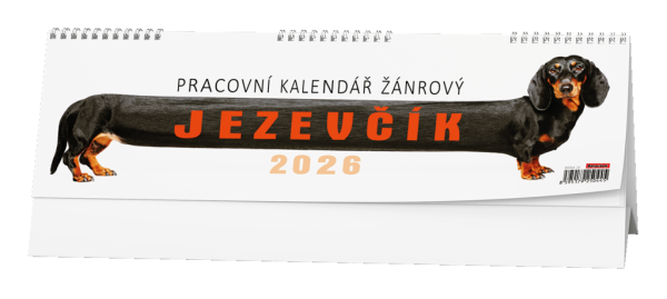 Kalendarz biurkowy - Kalendarz roboczy gatunek - Jamnik