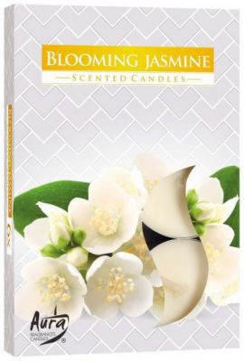 Świeca zapachowa do herbaty Blooming Jasmine 6 szt. w pudełku P15-169