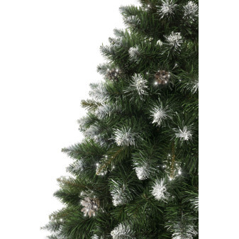 Choinka Aga 150 cm z pniem