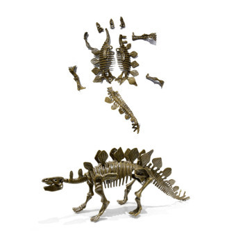 Zestaw paleontologiczny Stegosaurus Aga4Kids
