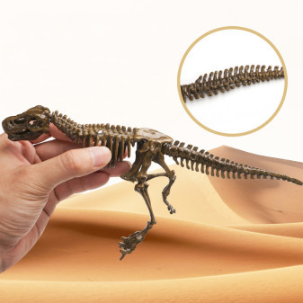 Zestaw paleontologa T-Rex Aga4Kids