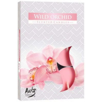 Świeca zapachowa Dzika Orchidea 6 szt w pudełku P15-170