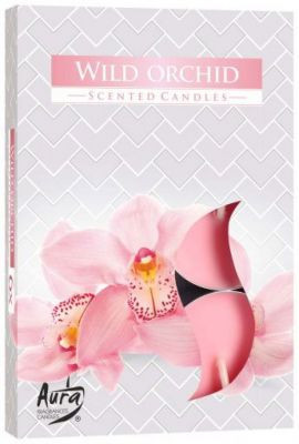 Świeca zapachowa Dzika Orchidea 6 szt w pudełku P15-170