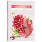 Świeca zapachowa do herbaty Kwiat kaktusa 6 szt. w pudełku str. 15-312