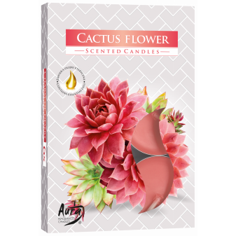 Świeca zapachowa do herbaty Kwiat kaktusa 6 szt. w pudełku str. 15-312
