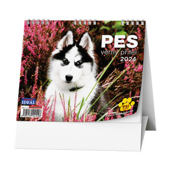 Kalendarz na biurko - IDEAL - Pies - wierny przyjaciel /z psimi imionami/