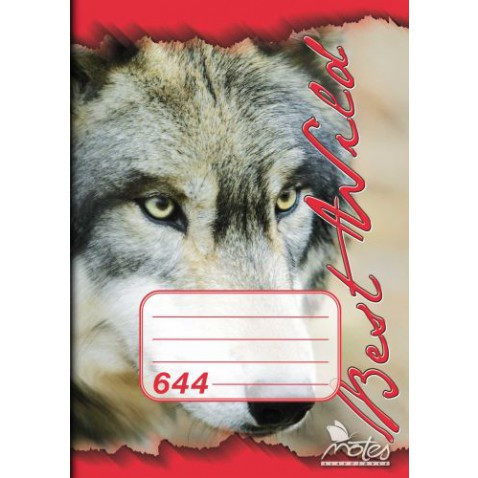 Notatnik 644 papier bezdrzewny A6, linia, 40 arkuszy