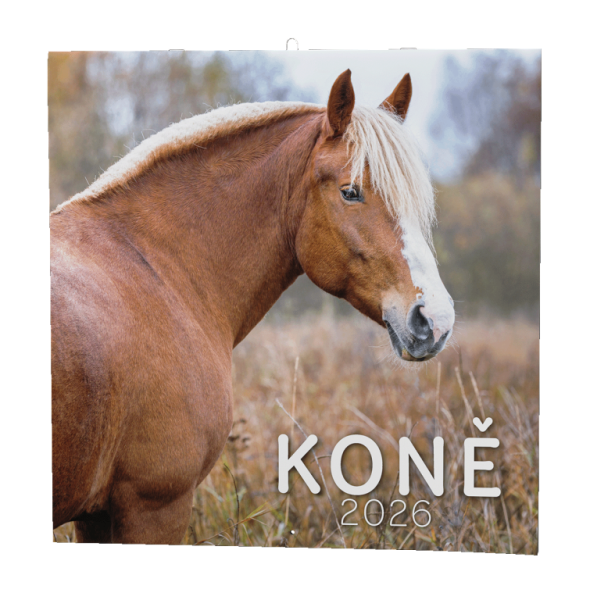 Kalendarz ścienny - Konie